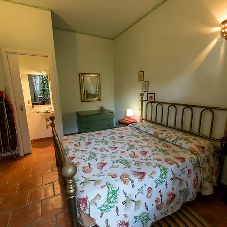 Sinfonia Toscana: Natura E Arte Rosignano Marittimo