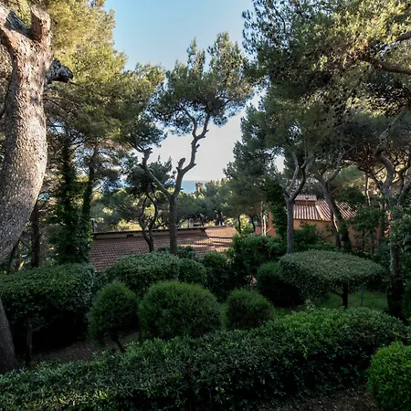 Sinfonia Toscana: Natura E Arte * Rosignano Marittimo